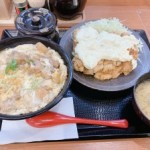 三ツ星食レポ からやま チキン南蛮定食　 ★★★